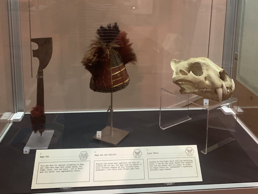 Museum display of a 'Naga Hat' and 'Naga Axe and Hatchet' alongside a tiger skull.